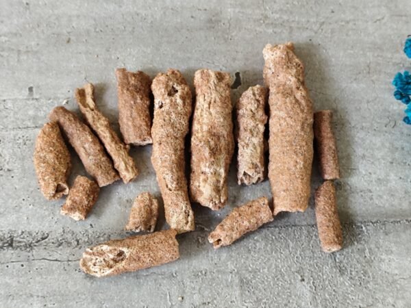 Fulgurite ou pierre de foudre – Image 4