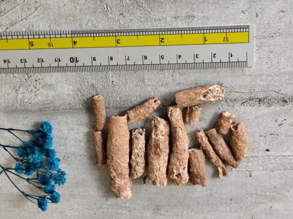 Fulgurite ou pierre de foudre – Image 6