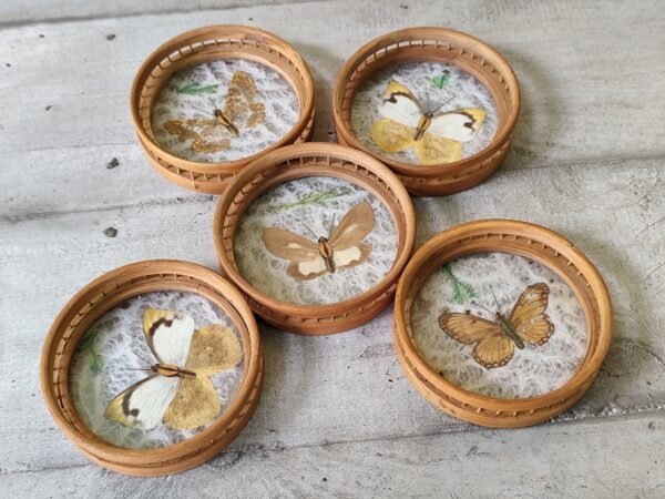 Anciens dessous de verre en bambous avec des papillons . – Image 2
