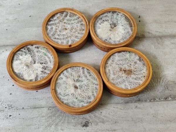 Anciens dessous de verre en bambous avec des papillons . – Image 7