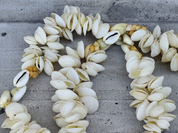 Ancien collier de coquillages tahitien (Copie) – Image 3