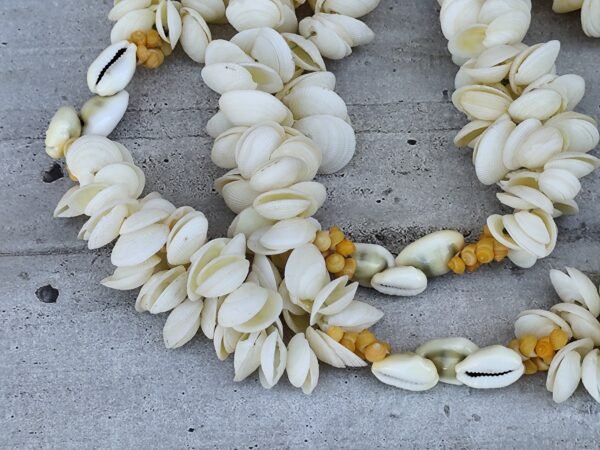 Ancien collier de coquillages tahitien (Copie) – Image 4