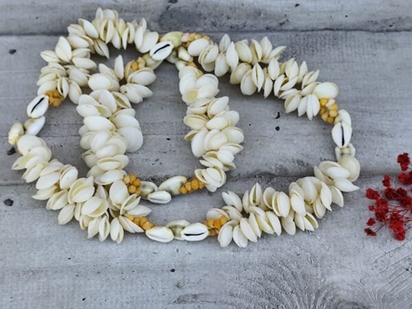 Ancien collier de coquillages tahitien (Copie) – Image 5