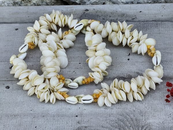 Ancien collier de coquillages tahitien (Copie) – Image 6