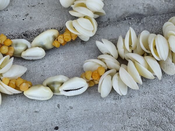 Ancien collier de coquillages tahitien (Copie) – Image 7