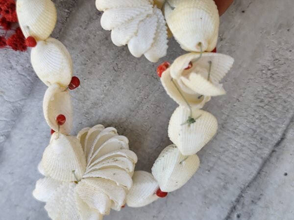 Ancien collier de coquillages tahitien – Image 3