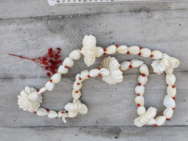 Ancien collier de coquillages tahitien – Image 4