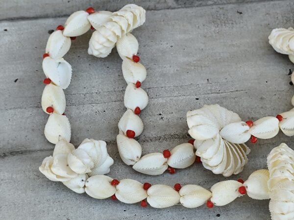 Ancien collier de coquillages tahitien – Image 5
