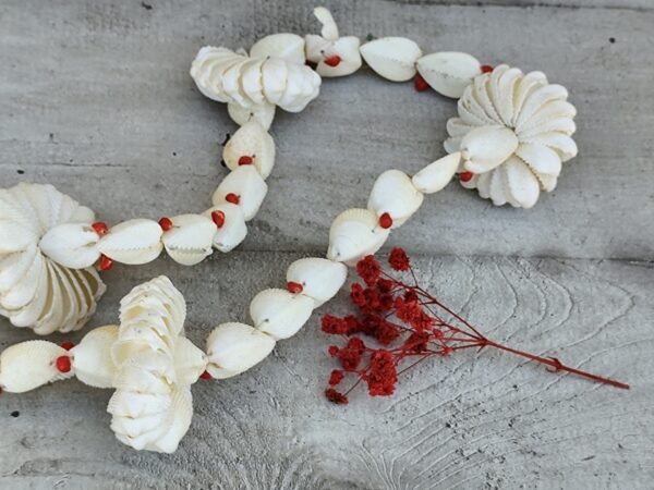Ancien collier de coquillages tahitien – Image 6