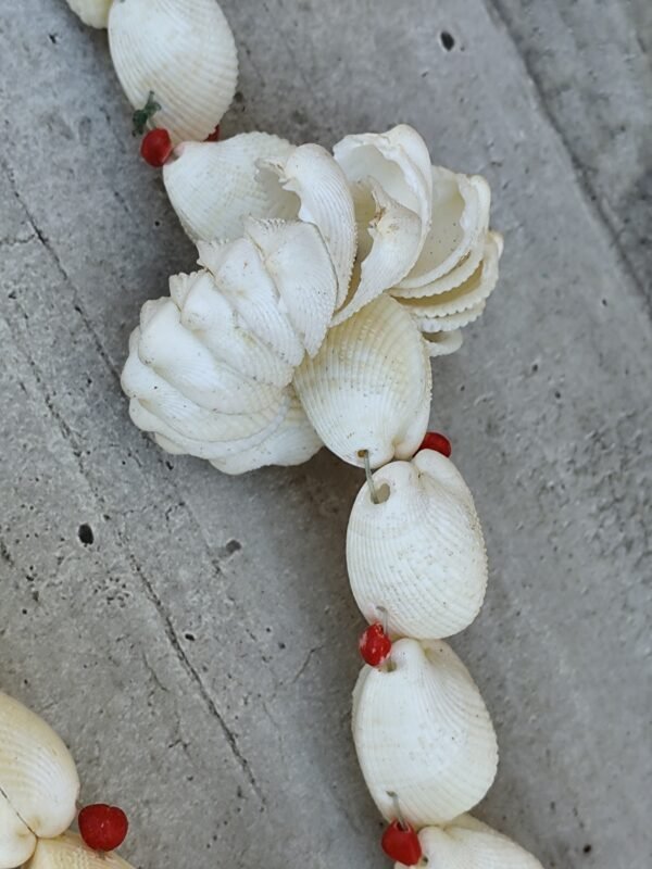 Ancien collier de coquillages tahitien – Image 7