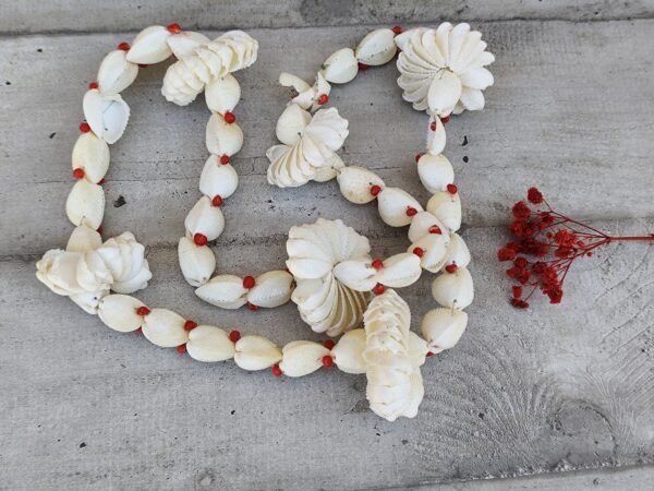 Ancien collier de coquillages tahitien