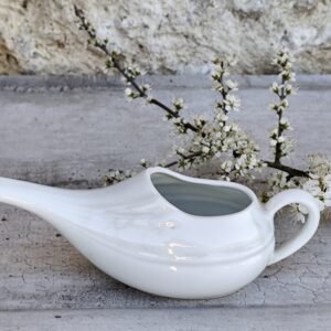 Crachoir ancien en porcelaine blanche « Canards malades »