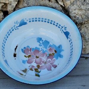 Bassine émaillée ancienne 34 cm – Peacock Brand – China – Décor floral vintage