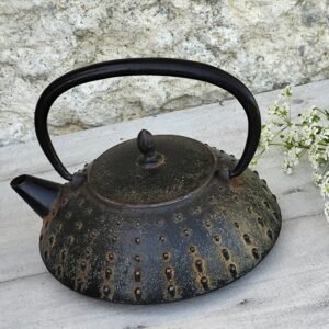 Théière japonaise vintage en fonte – bouilloire tetsubin – style traditionnel – déco wabi‑sabi