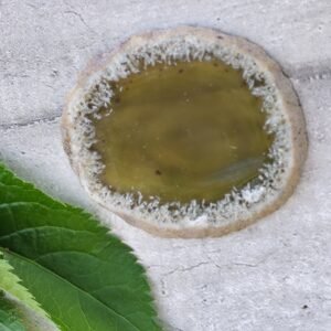 Géode verte – Cercle de calme et lumière