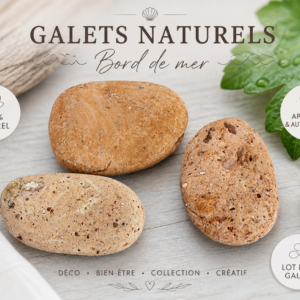 Lot de 3 galets naturels – Bord de mer  Ambiance zen & authenticité minérale