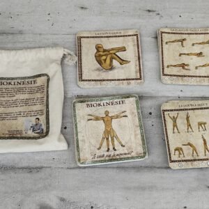 Cartes Biokinésie – Sylvain Herruel – Jeu complet d’exercices – Santé par le mouvement – Occasion